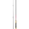 Canne Daiwa Spinning Samurai 270 H 2,70M 14-56G