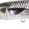 DUO FANGBAIT 120 DR SW LTD DST0804 MULLET ND
