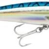 Leurre Rapala X-rap Saltwater 10 Cm BM