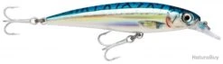 Leurre Rapala X-rap Saltwater 10 Cm BM