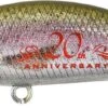 Leurre Duo Spearhead Ryuki 45 Sk RAINBOW TROUT ND