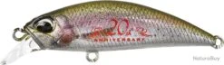 Leurre Duo Spearhead Ryuki 45 Sk RAINBOW TROUT ND