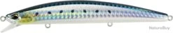 Leurre Duo Tide Minnow Sprat 120Sf SARDINE