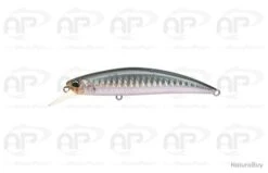 Leurre Truite Duo Spearhead Ryuki 80S Et SW Coulant 12 G 80mm Belone