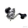 Moulinet Casting Shimano Ocea Jigger 2001 P