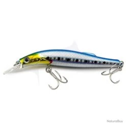 Xorus Joker 80 Iwashi