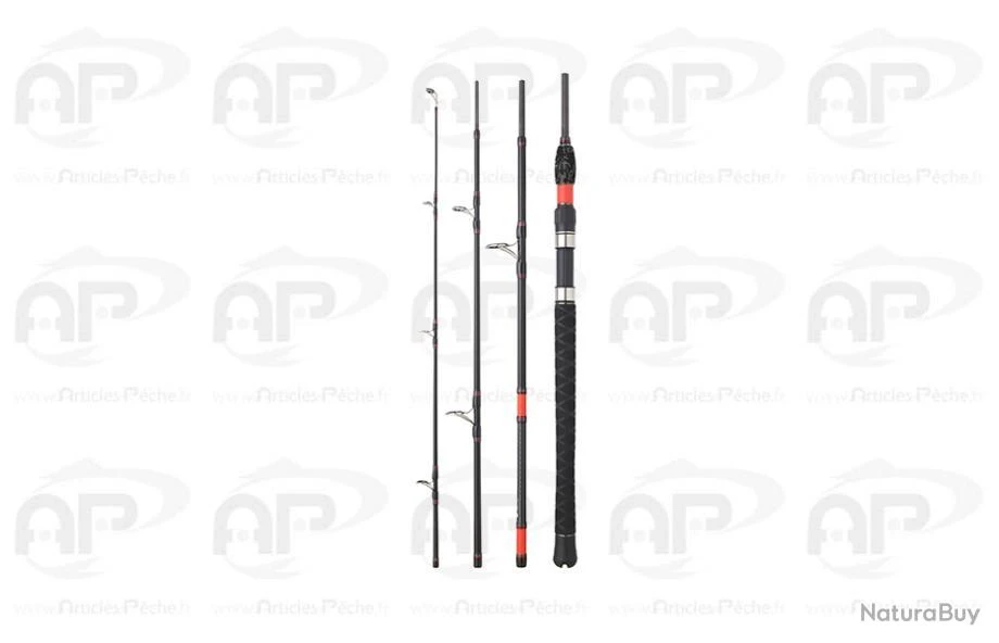 Daiwa Megaforce Big Fish 4 100-300gr 2.90M 1 Daiwa Megaforce Big Fish 4 100-300gr 2.90M