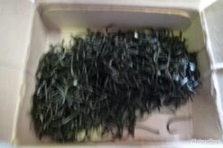 Hameçons 18 Canelle Par 1000 Bleu Renversé -Pêche Produits Magasin 00003 Hamecons 18 canelle par 1000 bleu renverse