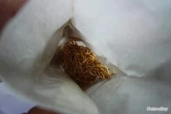 Hameçons 18 Canelle Par 1000 Doré Fin Renversé -Pêche Produits Magasin 00003 Hamecons 18 canelle par 1000 dore fin renverse