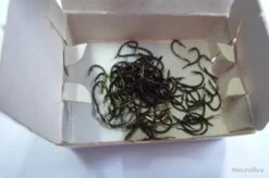 Hameçons 16 MUSTAD 530 Lot 500 Ham -Pêche Produits Magasin 00003 Hamecons MUSTAD 530 lot 500 ham