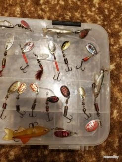 Lot De Cuillères Caperlan -Pêche Produits Magasin 00003 Lot de cuilleres caperlan