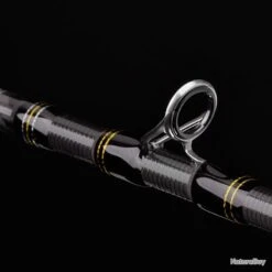 Canne Casting Spro Specter Expedition Cast 2.30m 20-60g -Pêche Produits Magasin 00004 Canne Casting Spro Specter Expedition Cast 2.30m 20 60g