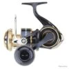 Moulinet Daiwa Saltiga 20 - 8000 / P
