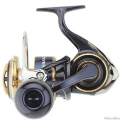 Moulinet Daiwa Saltiga 20 - 8000 / P -Pêche Produits Magasin 00057 Moulinet Daiwa Saltiga 20 8000 P