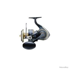 Moulinet Daiwa Saltiga 20 - 8000 / P -Pêche Produits Magasin 00060 Moulinet Daiwa Saltiga 20 8000 P