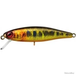Leurre Illex Tiny Fry 2.7 G - 5,0 Cm - Vairon G Vairon / 1 -Pêche Produits Magasin 00100 Leurre Illex Tiny Fry 2.7 g 5 0 cm Vairon G Vairon 1
